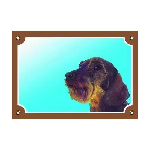 Barevná cedulka Pozor pes, Jezevčík hrubosrstý