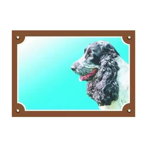 Barevná cedulka Pozor pes, Anglický kokr čb