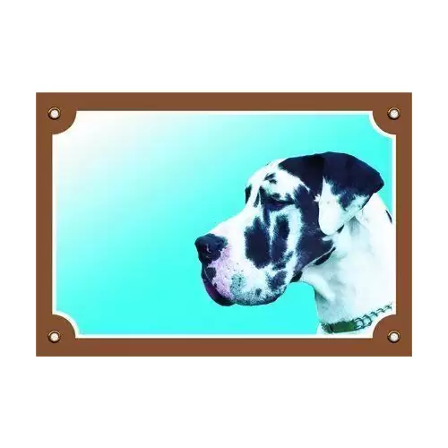 Barevná cedulka Pozor pes, Doga harlequin