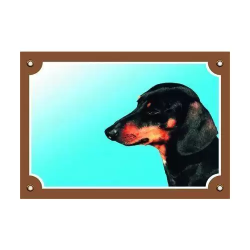 Barevná cedulka Pozor pes, Jezevčík hladkosrstý černý