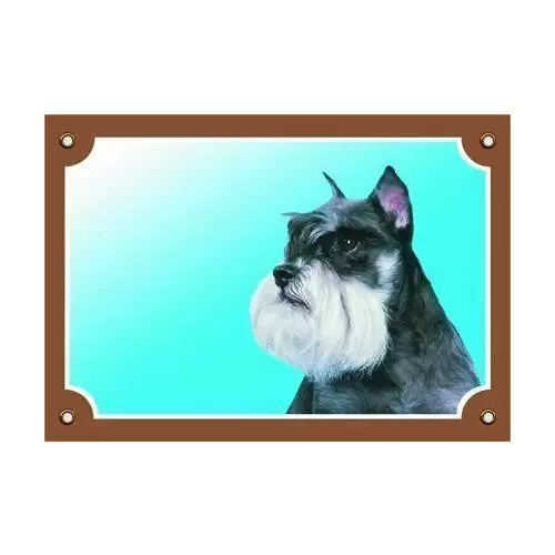 Barevná cedulka Pozor pes, Knírač pepř a sůl