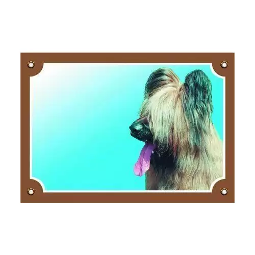 Barevná cedulka Pozor pes, Briard světlý