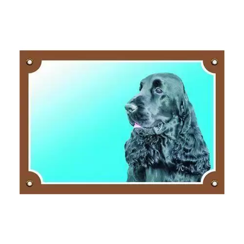 Barevná cedulka Pozor pes, Anglický kokr černý