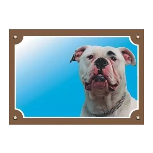 Barevná cedulka Pozor pes, Americký buldok