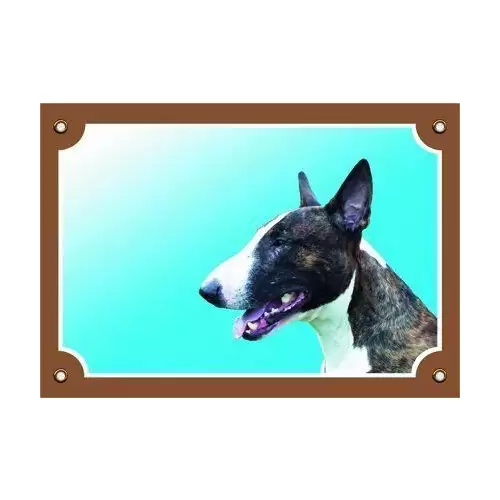 Barevná cedulka Pozor pes, Bullterier pes