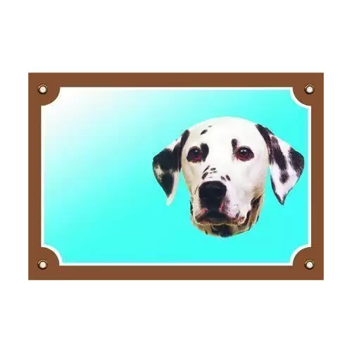 Barevná cedulka Pozor pes, Dalmatin