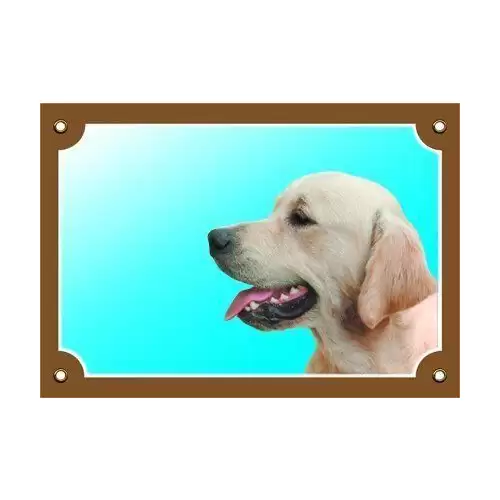 Barevná cedulka Pozor pes, Zlatý retriever