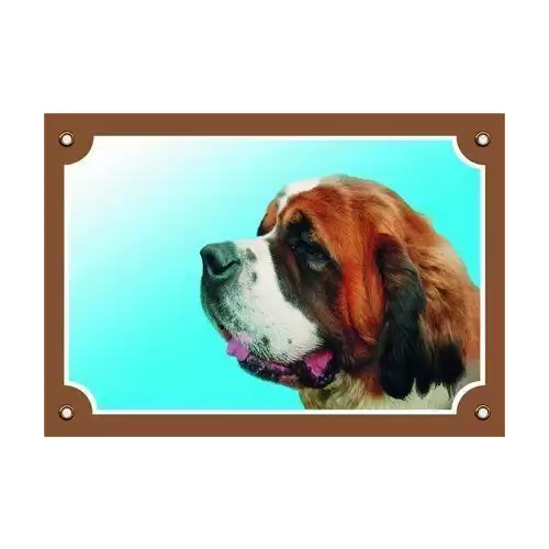 Barevná cedulka Pozor pes, Bernardýn