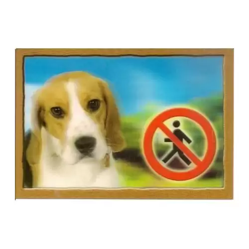 Cedulka 3D PSI, Beagle
