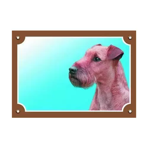 Barevná cedulka Pozor pes, Irský teriér