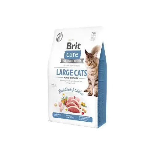 Brit Care Cat GF Large cats Power&Vitality 2kg