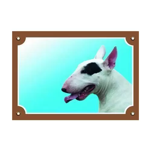 Barevná cedulka Pozor pes, Bullterier fena