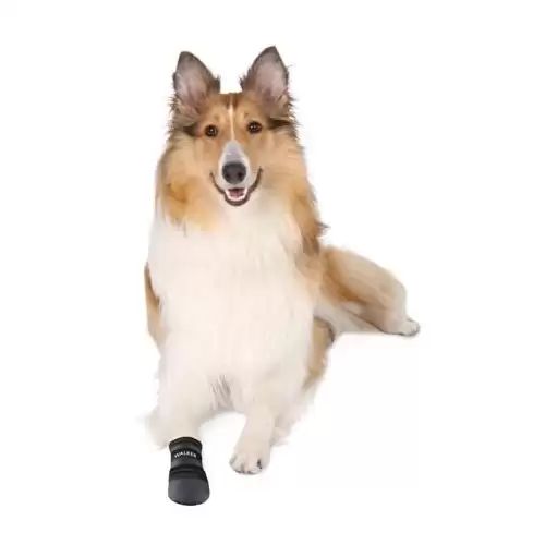 Botičky-neopren 2ks - TRIXIE XL:např. rhodéský ridgeback