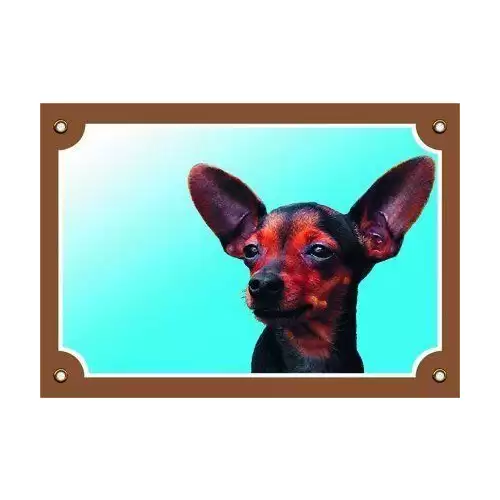 Barevná cedulka Pozor pes, Krysařík