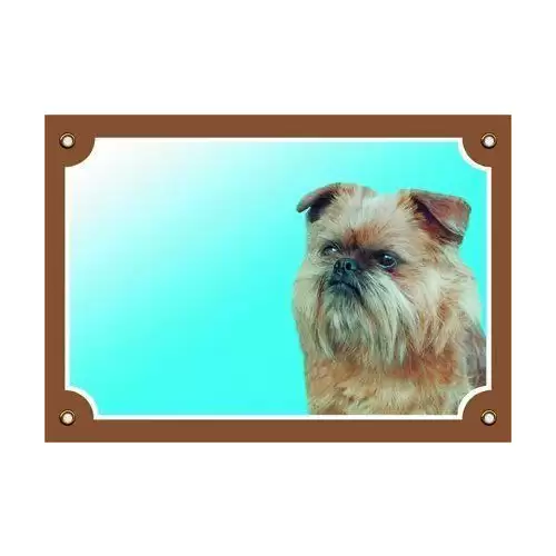 Barevná cedulka Pozor pes, Grifonek bruselský