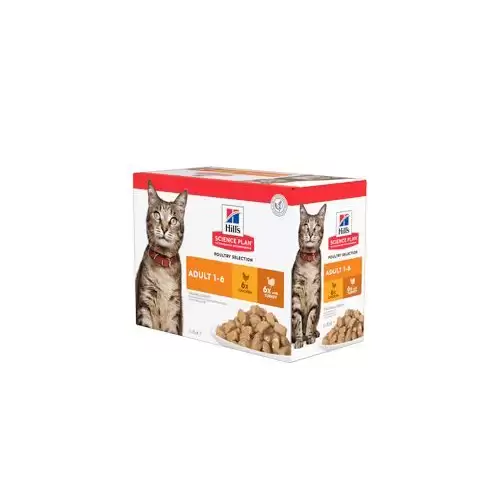 Hill's Fel. SP Adult Chicken&Turkey kapsa 12x85g