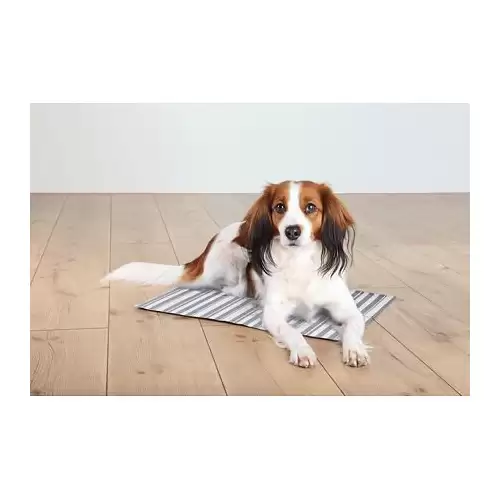 Chladící podložka pro zvířata, proužkovaná 50 x 40 cm bílo/šedá
