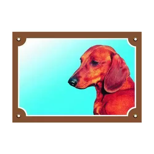 Barevná cedulka Pozor pes, Jezevčík hladkosrstý