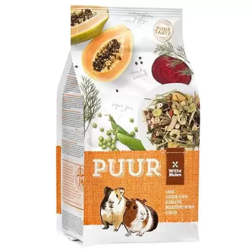  PUUR guinea pig - morče 2,5 kg