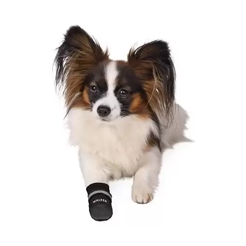 Komfortní ochranné nylonové botičky, 2 ks XS: např. jorkšírský teriér