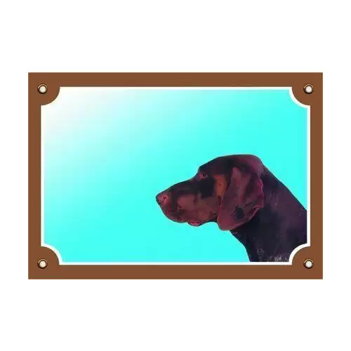 Barevná cedulka Pozor pes, Německý ohař hnědý