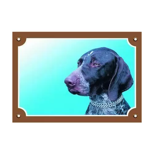 Barevná cedulka Pozor pes, Německý ohař krátkosrstý