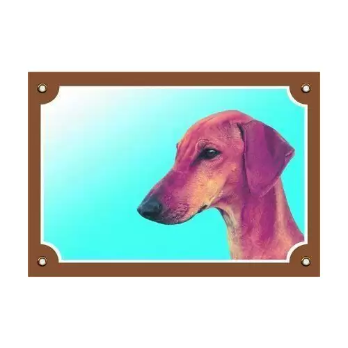 Barevná cedulka Pozor pes, Azavak