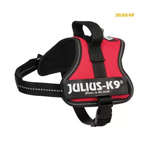 Julius-K9 silový postroj Mini-Mini/XS 40-53 cm/22 mm  - červená