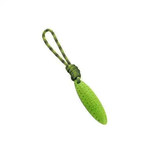 Hračka pes ZEPPELIN MINI plov. z TPR zelená Kiwi