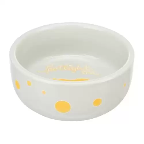 Keramická miska s puntíky, pro morčata, 250 ml/o 11 cm