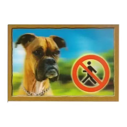 Cedulka 3D PSI, Boxer