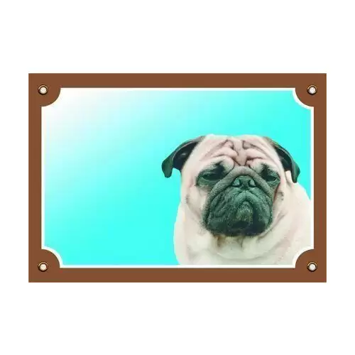 Barevná cedulka Pozor pes, Mops