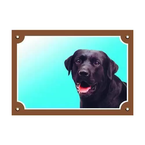 Barevná cedulka Pozor pes, Labrador černý