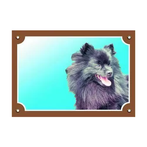 Barevná cedulka Pozor pes, Černý špic