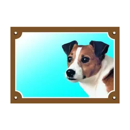 Barevná cedulka Pozor pes, Jack Russel terier