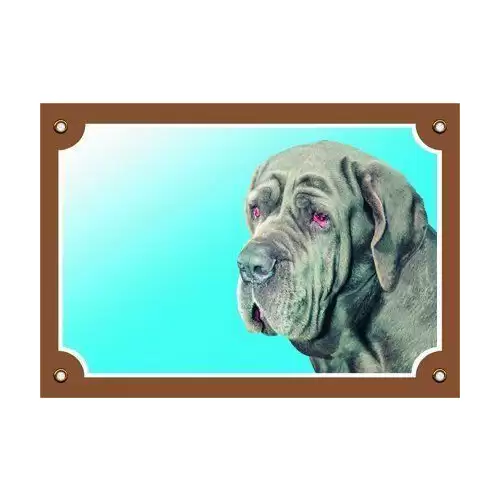 Barevná cedulka Pozor pes, Neapolský mastin