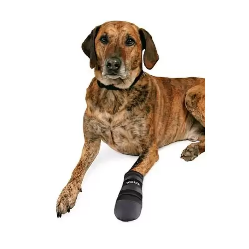 Botičky-neopren 2ks - TRIXIE XXXL:např. leonberger