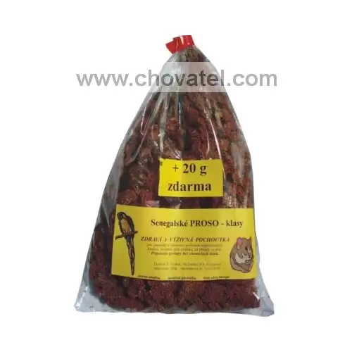 Proso senegalské červené v klasech 100g