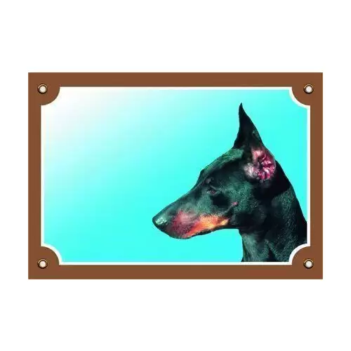 Barevná cedulka Pozor pes, Dobrman