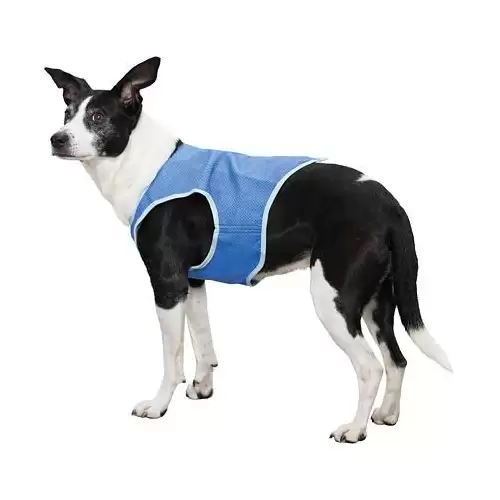 Chladící vesta PVA L 35 cm 