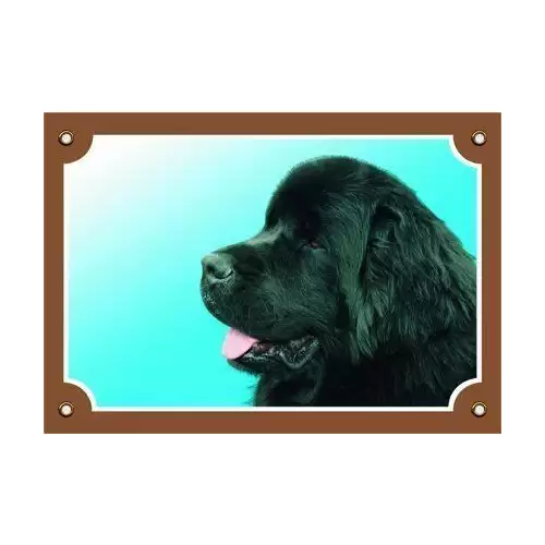 Barevná cedulka Pozor pes, Novofundlanský pes černý