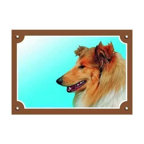 Barevná cedulka Pozor pes, Kolie