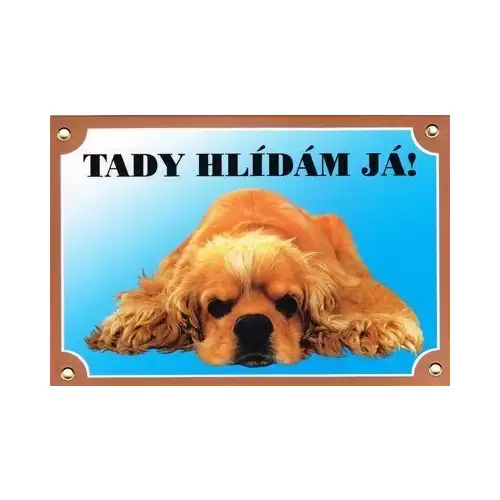 Barevná cedulka Pozor pes, Americký kokr ležící