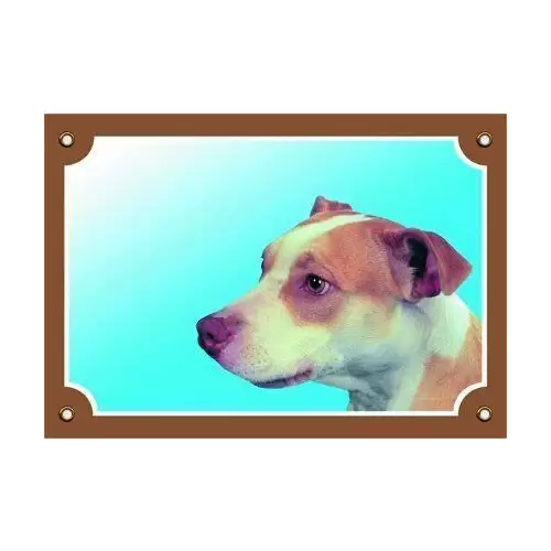 Barevná cedulka Pozor pes, Pitbullterier