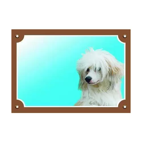 Barevná cedulka Pozor pes, Čínský chocholatý pes