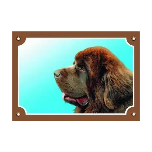 Barevná cedulka Pozor pes, Novofundlanský pes hnědý