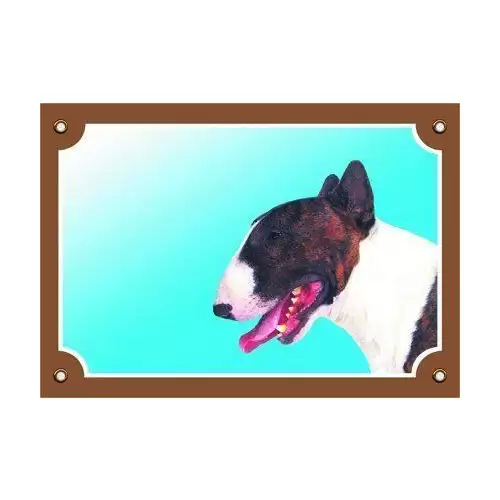 Barevná cedulka Pozor pes, Bullterier