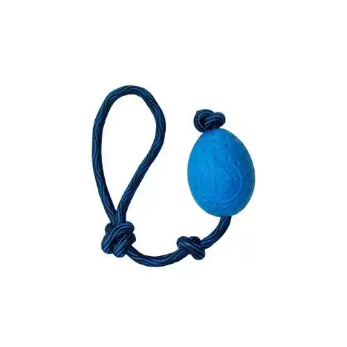 Hračka pes EGG MAXI plov. z TPR modrá Kiwi