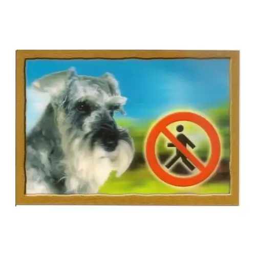 Cedulka 3D PSI, Knírač pepř a sůl