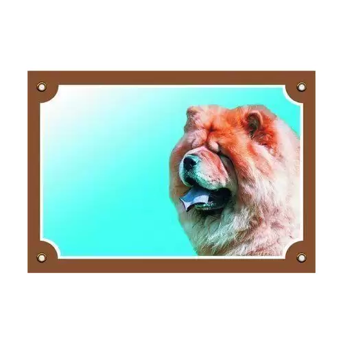 Barevná cedulka Pozor pes, Čau čau